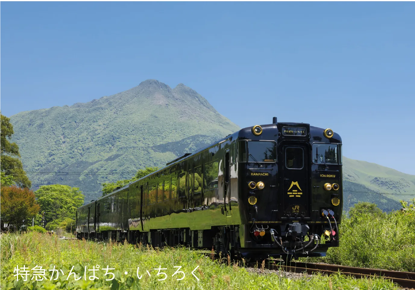 緑の中を走る「特急かんぱち・いちろく」
